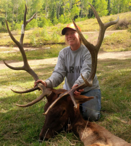 Katie's Utah Elk, capped